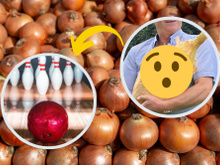 Esta cebola pesa mais que uma bola de boliche: descubra como e onde o vegetal gigante foi cultivado