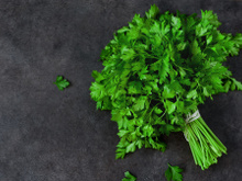 Entenda qual a diferença entre coentro e salsa para nunca mais se confundir