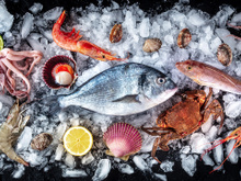 Microplástico está presente em 90% desse fruto do mar popular, de acordo com nova pesquisa