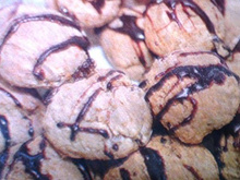 Biscoito de aveia e passas