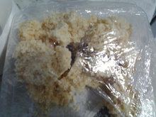 Cocada com leite condensado