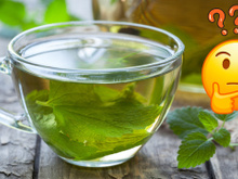 O que acontece se você tomar chá de melissa todos os dias: entenda benefícios, efeitos colaterais e saiba como fazer a infusão