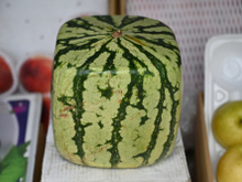 Frutas de luxo podem custar até R$50 mil: melancia quadrada, pera com rosto e melão japonês estão entre iguarias