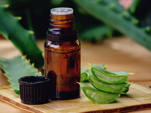 A planta mais anti-inflamatória para a cicatrização da pele, segundo dermatologistas