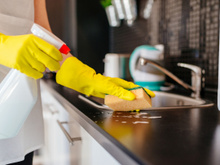 Como evitar fungos e bactérias na cozinha: confira as dicas