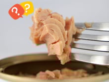 Cientistas abrem latas de peixe da década de 70 e fazem importante descoberta