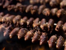 Coração de frango (coraçãozinho de galinha) para churrasco do Luizão