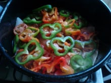 Peixe fácil e rápido