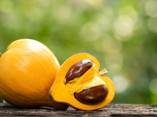 A fruta brasileira que tem o sabor de doce de leite e quase ninguém conhece
