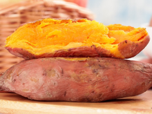 Cientistas brasileiros desenvolvem batata-doce que produz até 4 vezes mais e tem alto teor de vitamina A