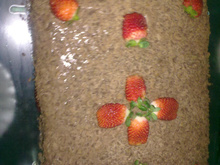 Torta de chocolate com chantilly