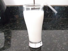 Leite de camelo (batida)