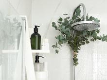 Essa planta não precisa de água nunca, não é artificial e ainda perfuma seu banheiro