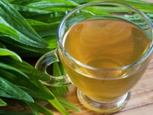 Para que serve o chá de tanchagem? Bebida popular é conhecida há séculos como remédio caseiro