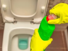 De quanto em quanto tempo devo limpar o vaso sanitário? Especialista revela a frequência ideal para manter o banheiro limpo