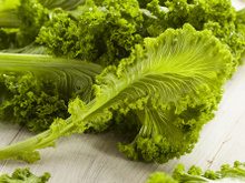 Benefícios da folha de mostarda para a saúde: confira