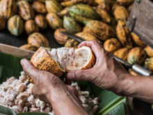 5 alimentos que ajudam a aumentar os níveis de testosterona