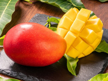 A fruta da estação: por que a manga é tão rica em benefícios surpreendentes para a saúde?