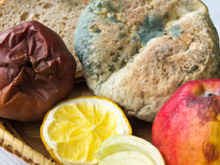 Como evitar que os alimentos mofem