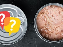 Atum enlatado em óleo ou em água: qual o melhor para a saúde e qual é o mais calórico? TudoGostoso tira todas as suas dúvidas!