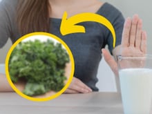 Nada de leite: o alimento com mais cálcio e que combate o colesterol é um vegetal
