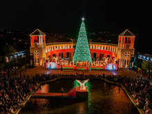 Natal de Curitiba/PR vai até 23 de dezembro com programação diversa, incluindo drive-thru natalino