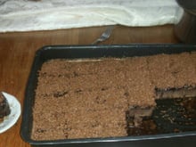 Brownie de chocolate em pó
