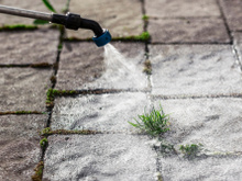 Nada de vinagre branco: esse produto de uso diário é o favorito dos jardineiros para acabar de vez com ervas daninhas sem esforço