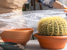 Poucos sabem, mas aprendi com um jardineiro experiente: o plástico bolha é um tesouro para o seu jardim!