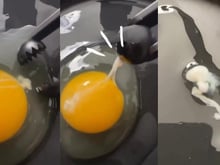 Com quantos você descobriu o que é a parte branca que flutua no ovo?