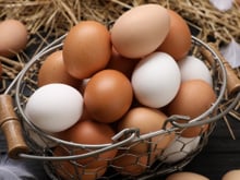 Por que ovos marrons são mais caros que os ovos brancos? Esses produtores rurais têm a resposta
