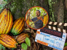 Cacau no horário nobre: 5 benefícios POUCO conhecidos do fruto que vai bombar na nova novela da TV Globo