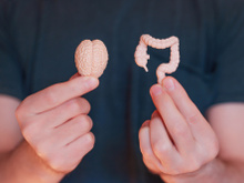 Probióticos e saúde mental: o intestino realmente é nosso “segundo cérebro”?