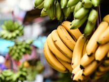 O truque da banana suspensa funciona mesmo? Descubra como fazer a fruta durar o dobro do tempo!