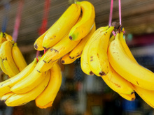 Descobri por que minhas bananas estragavam rápido (e você talvez faça o mesmo)