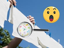 Se você lava o pano de prato desse jeito, ele vai continuar cheio de micróbios: veja como fazer higienização correta e evitar problemas