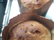 Panetone caseiro