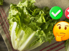 Descubra os benefícios e malefícios da escarola e qual é a melhor forma de comer o vegetal para aproveitar bem seus nutrientes