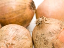 O que é o pó preto que aparece na cebola? Saiba o que fazer quando encontrar isso no alimento