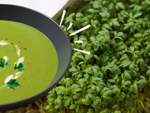 O alimento mais saudável do mundo segundo pesquisadores fornece 100% das necessidades diárias de vitaminas e minerais essenciais em apenas 100 gramas