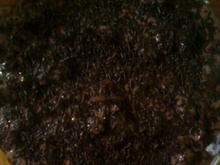 Pavê de chocolate fácil