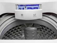 Pouca gente sabe, mas há uma parte da nossa máquina de lavar que quase nunca limpamos e que é um ambiente perfeito para bactérias