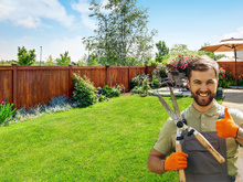 Os jardineiros não querem que você descubra o segredo para ter um gramado bem verdinho o ano todo