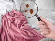 Nem mofo, nem cheiro ruim: o jeito certo de cuidar das mantas no inverno vai te salvar desses problemas