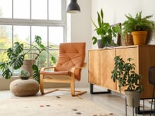 Qual a planta ideal para cada cômodo? 3 opções ideais para cozinha, sala e banheiro