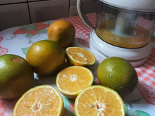 Suco de laranja tropical
