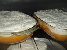 Favo de mel delicioso