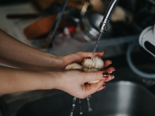 Os chefs de cozinha concordam: pare de lavar seus cogumelos na água corrente agora mesmo!