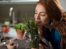 Melhora a memória e aumenta a função cognitiva: benefícios de cheirar essa erva queridinha dos brasileiros
