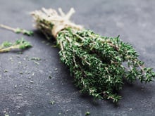 Tomilho: onde usar e benefícios para a saúde